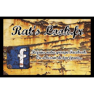 Sticker rat's look fr facebook flyer grand format rats look fr 2